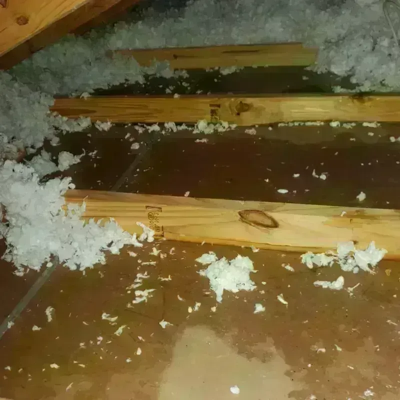 Attic Water Damage in Cheyenne County, KS