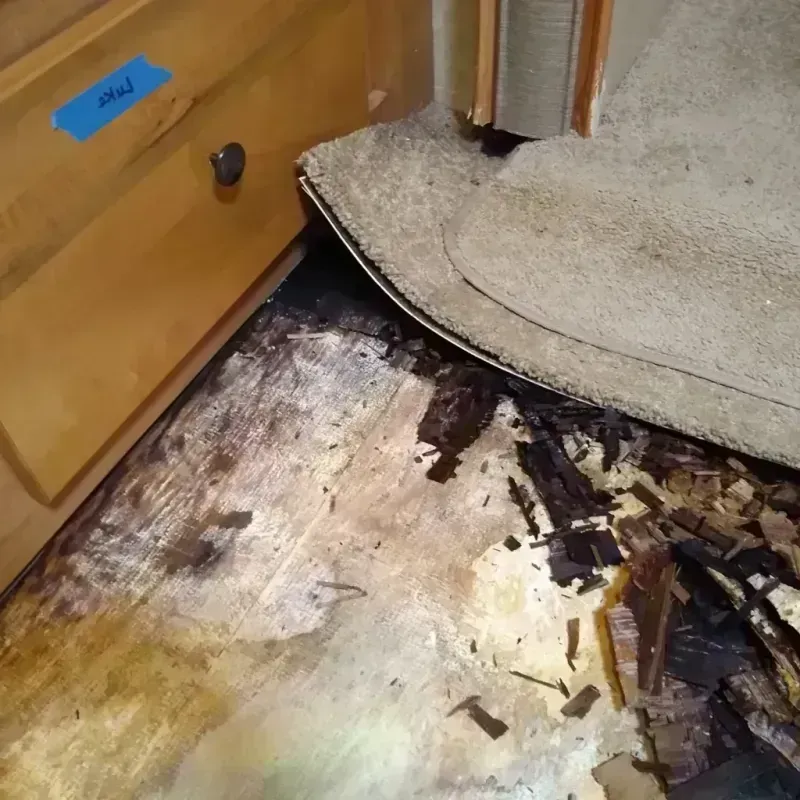 Wood Floor Water Damage in Cheyenne County, KS